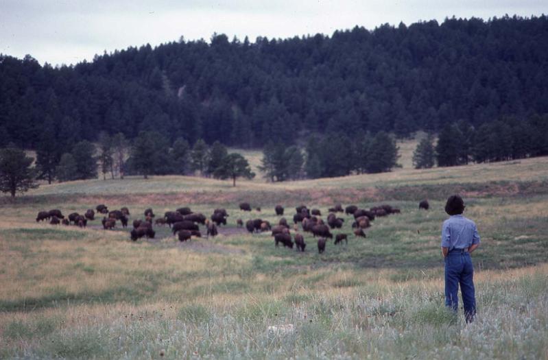 Phyllis at Custer St Park South Dakota Summer 1983.jpg